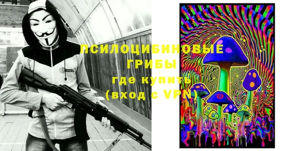 хмурый Кукмор