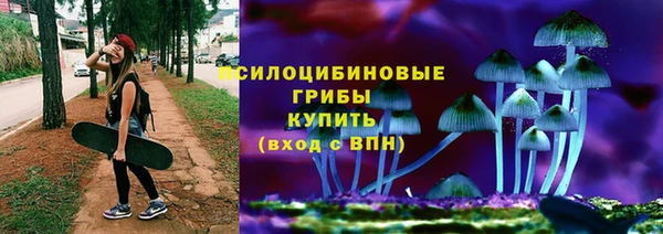 хмурый Кукмор