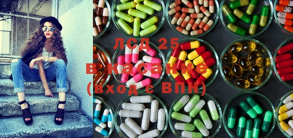 хмурый Кукмор