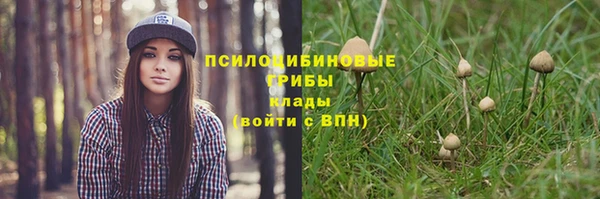 герыч Кулебаки