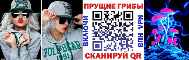 Галлюциногенные грибы Psilocybine cubensis  Купить  Данилов 